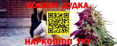 соль ск Пугачёв