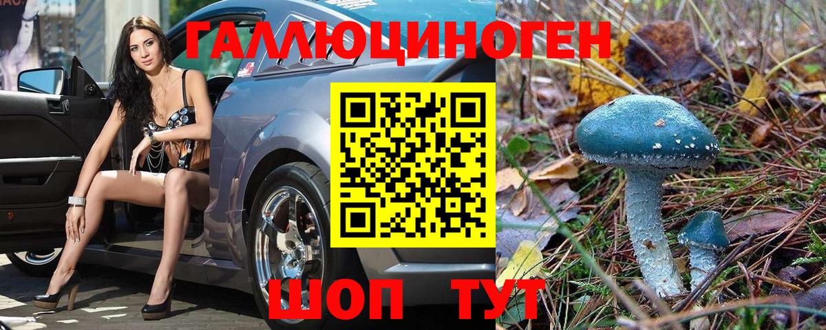 Псилоцибиновые грибы GOLDEN TEACHER Оренбург