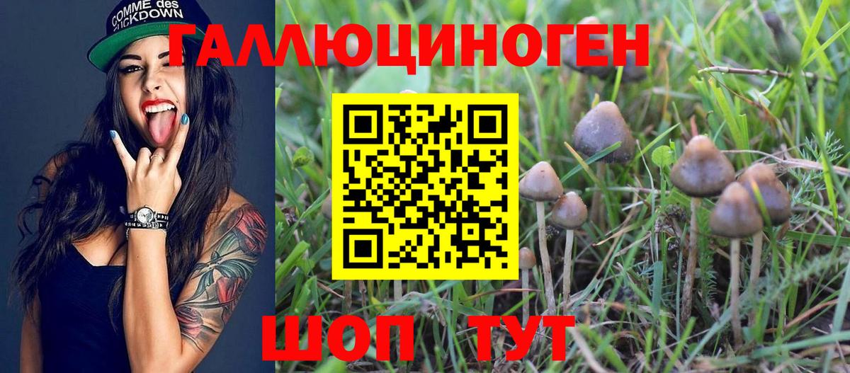 Оренбург  Галлюциногенные грибы Cubensis  Вход с VPN  Галлюциногенные грибы Psilocybine cubensis 